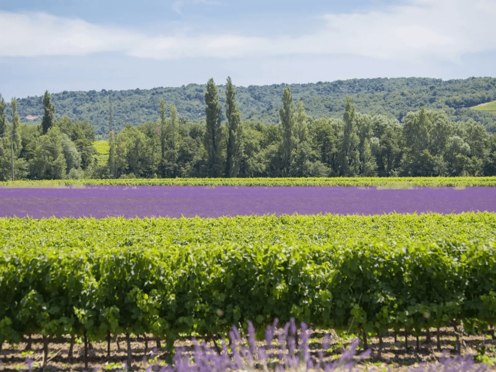 Retreat in der Provence